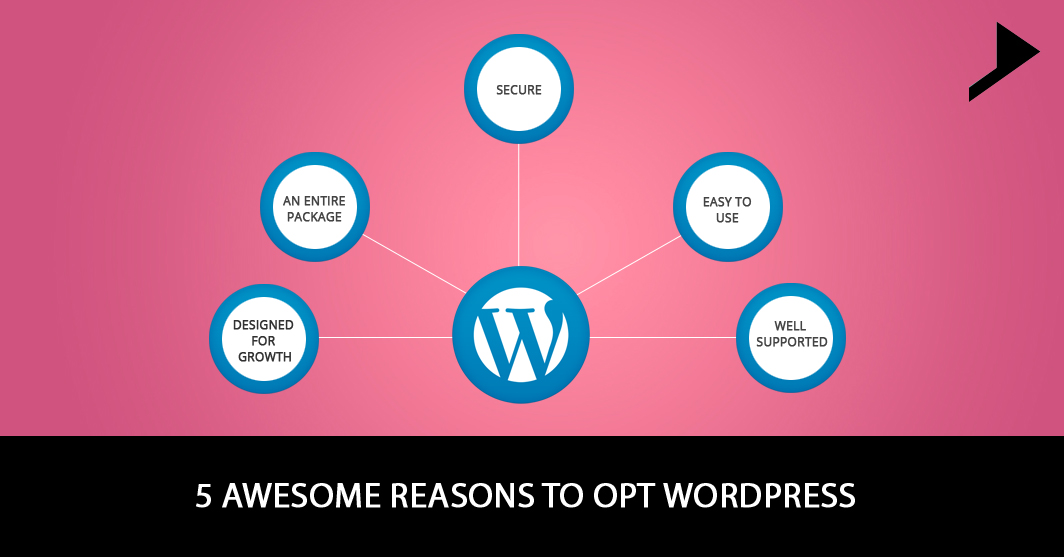 5 Awesome reasons to opt WordPress.