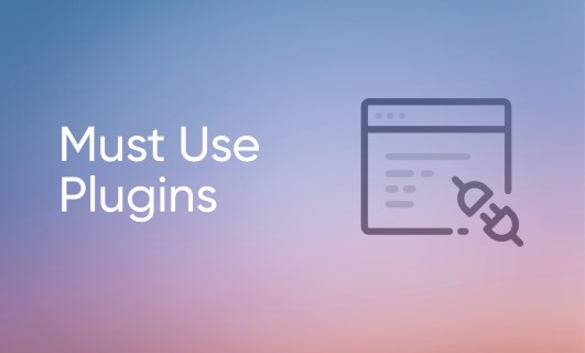 Must use WordPress Plugin